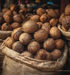 Coconut Shells for Sale in Thrissur