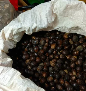 High-Quality Organic Nutmeg (Jathi) for sale
