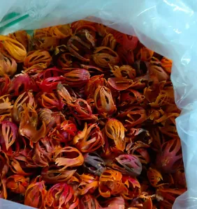 Premium Organic Mace (Jathi Pathri) for sale