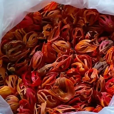 Premium Organic Mace (Jathi Pathri) for sale