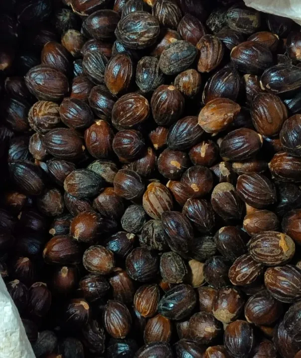 High-Quality Organic Nutmeg (Jathi) for sale